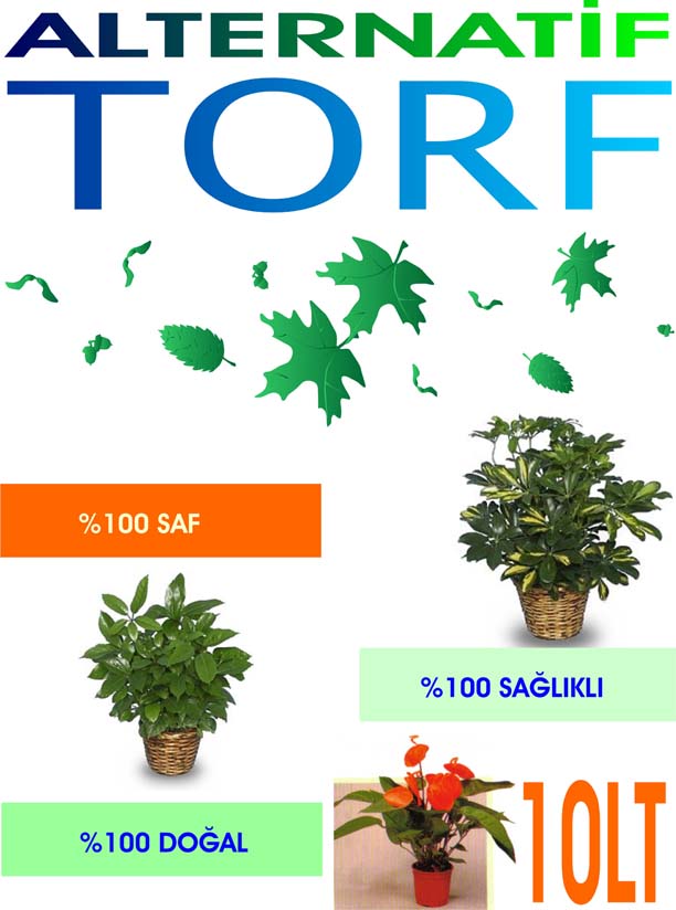 Torf